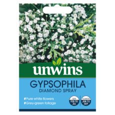 5051618011013 1 Gypsophila Diamond Spray Seeds.jpg